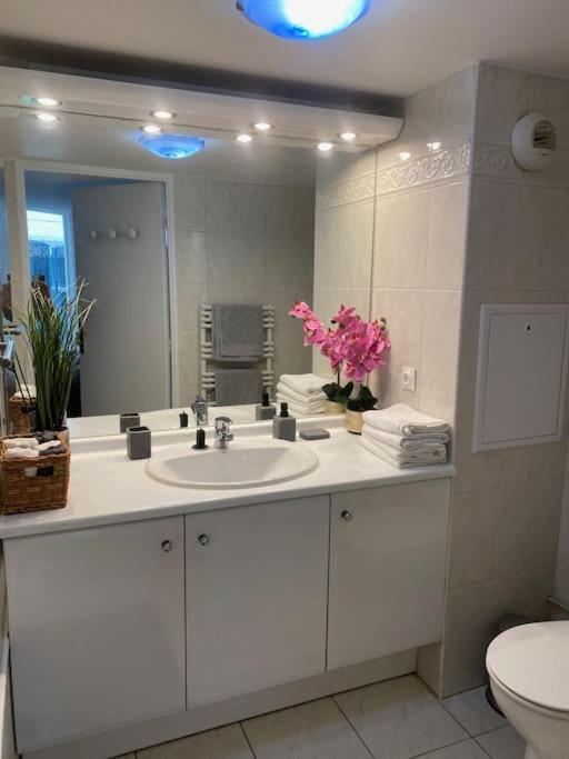 Magnifique Duplex 45 M2 Aux Portes De Paris Metro Barbara A 30Mn Expo Porte De Versailles モンルージュ エクステリア 写真