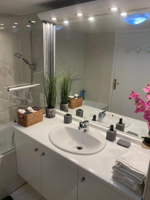 Magnifique Duplex 45 M2 Aux Portes De Paris Metro Barbara A 30Mn Expo Porte De Versailles モンルージュ エクステリア 写真
